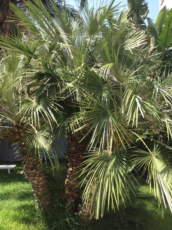 Ucciardhome Hotel Palermo Eksteriør bilde