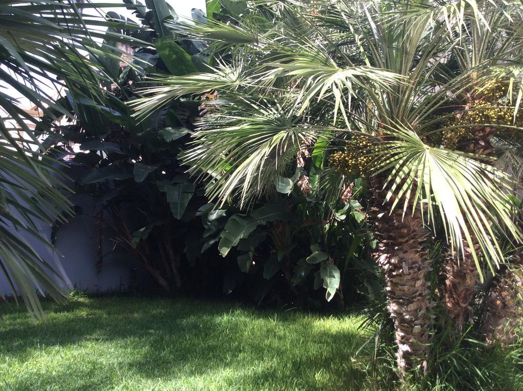 Ucciardhome Hotel Palermo Eksteriør bilde